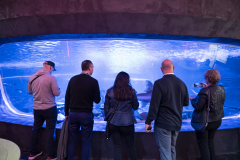 Sunset on Salish Sea & Welcome Reception Photos by Timothy Aguero Photography