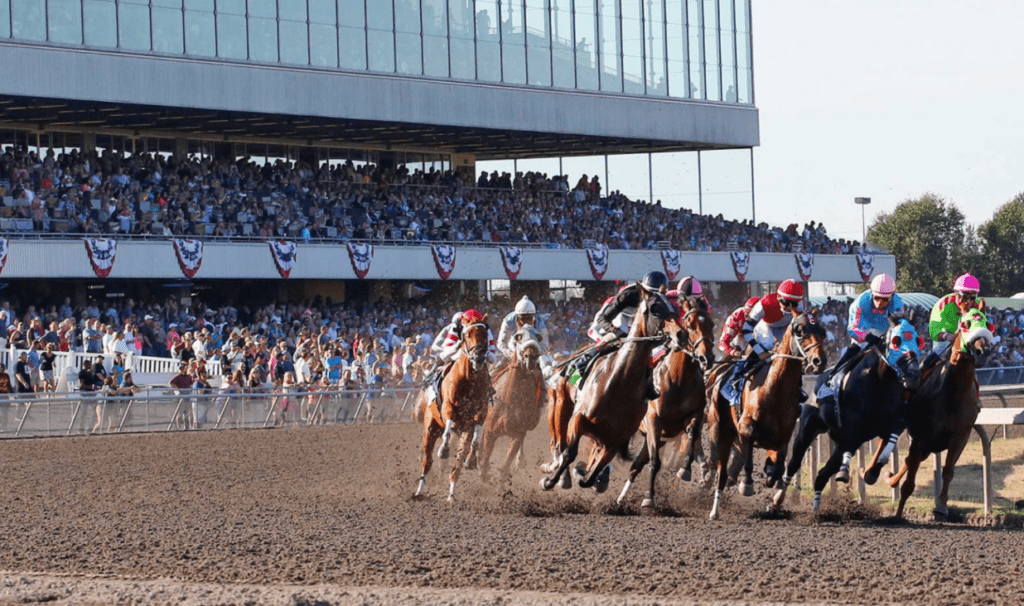 outdoor team building - Horses Racing at Emerald Downs 